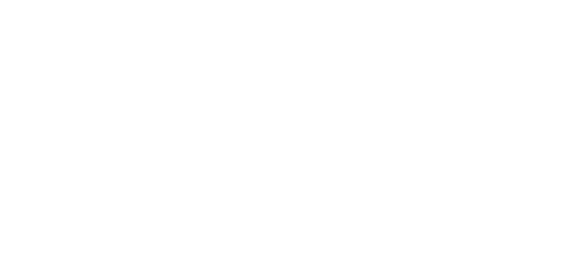 channel-partners-msp501-2025-winner-logo